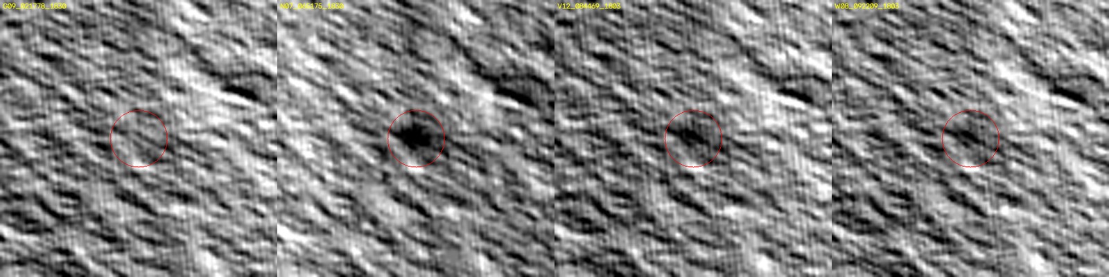 Four-times close-ups of the centre of the four Gordii Dorsum images, with a red circle marking the spot.